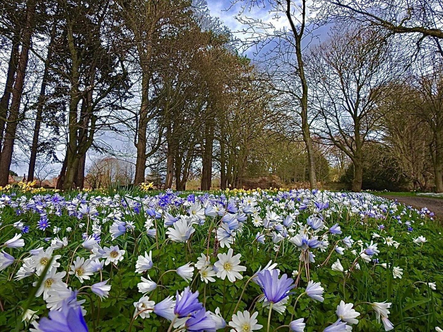 Thornton Manor - Holiday Cottages And Apartments هسويل الغرفة الصورة