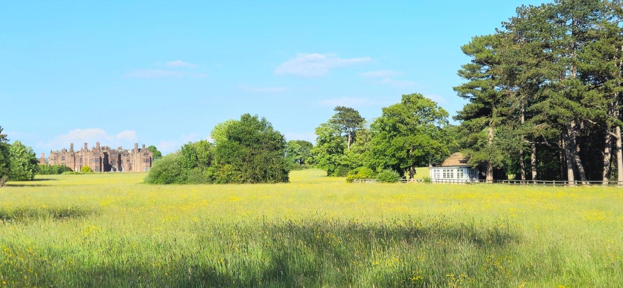 Thornton Manor - Holiday Cottages And Apartments هسويل المظهر الخارجي الصورة